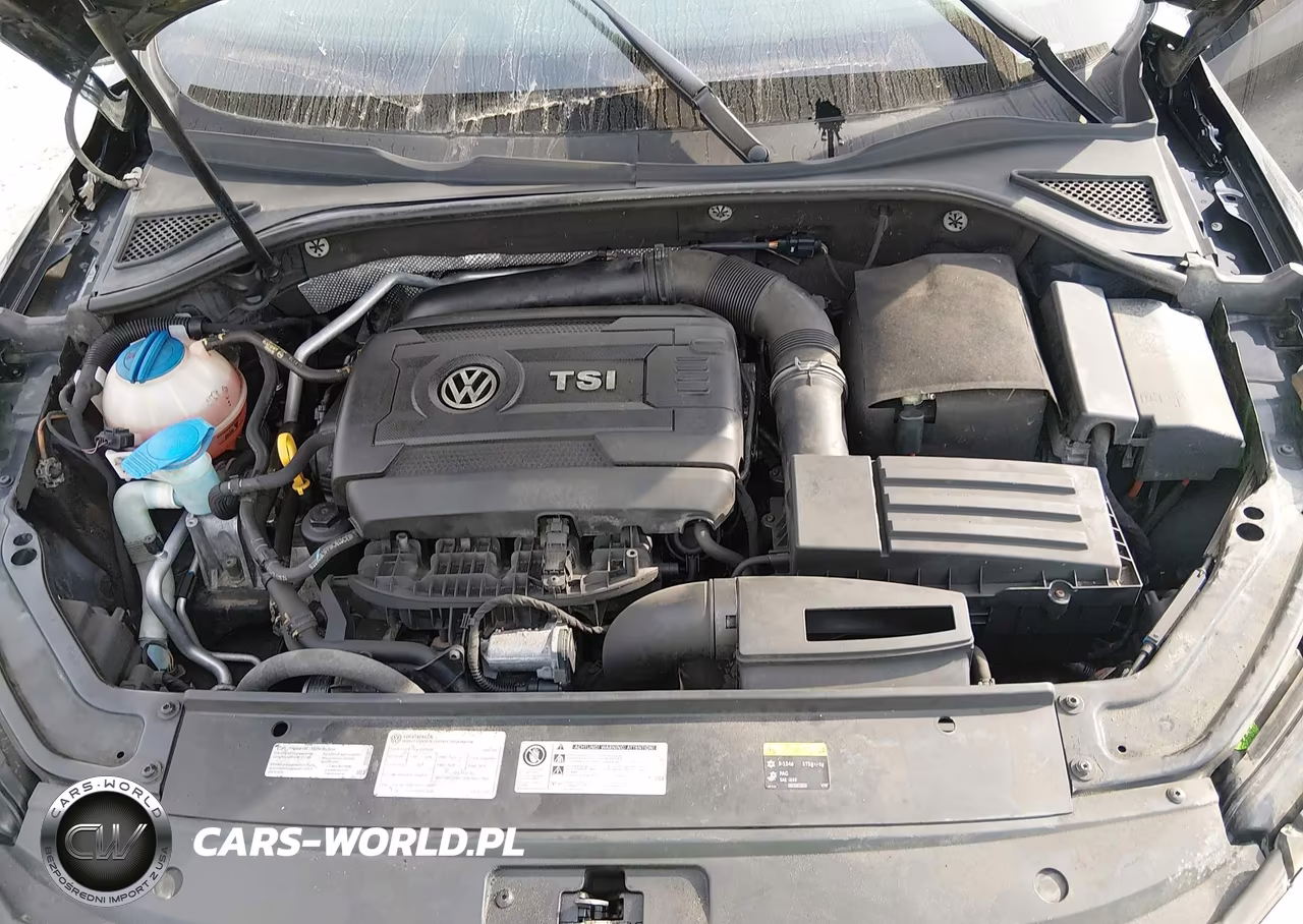 2016 Volkswagen Passat 1.8T Se VIN:1VWBS7A38GC046220 - 10
