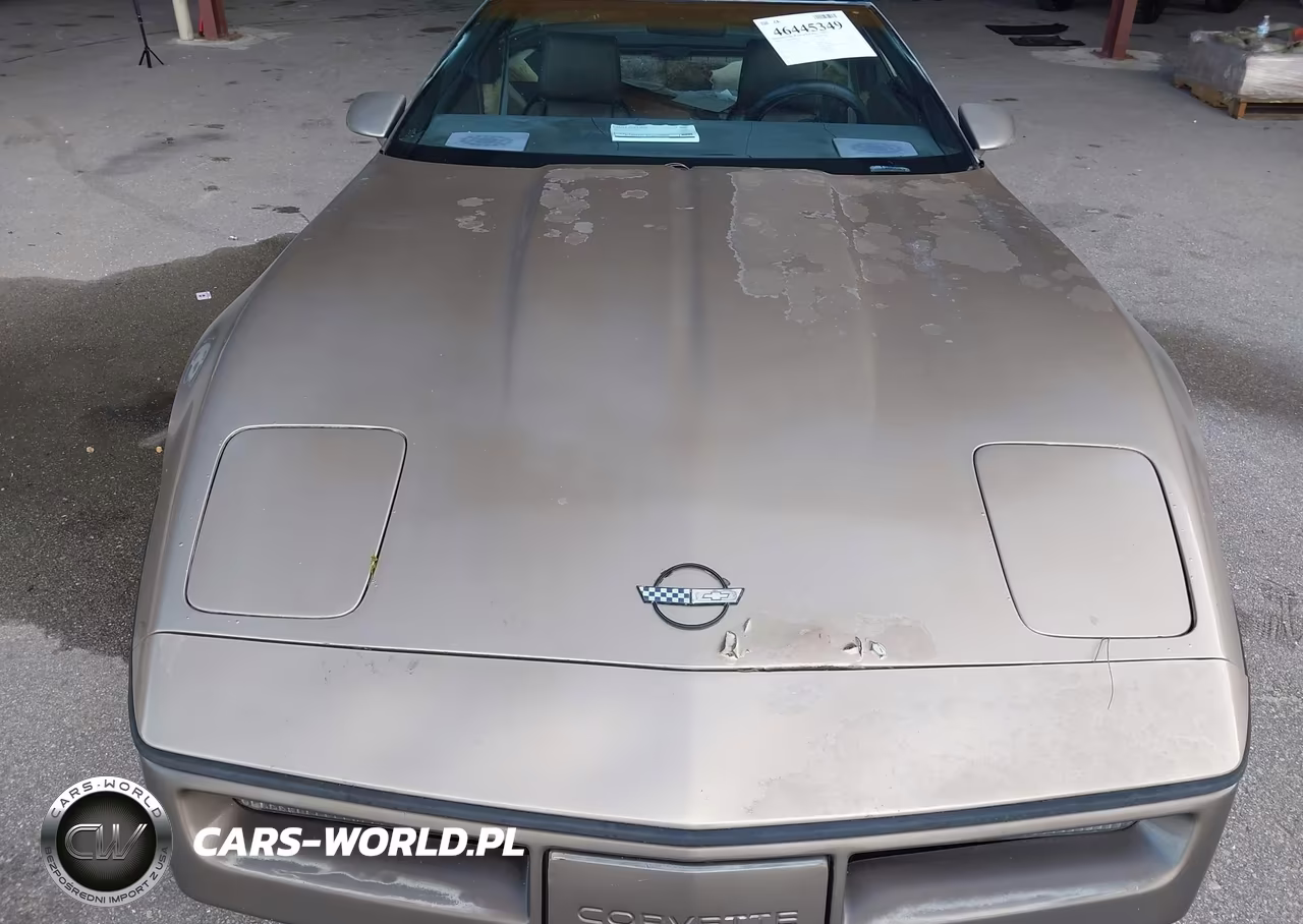 1984 Chevrolet Corvette VIN:1G1AY0784E5121061 - 10