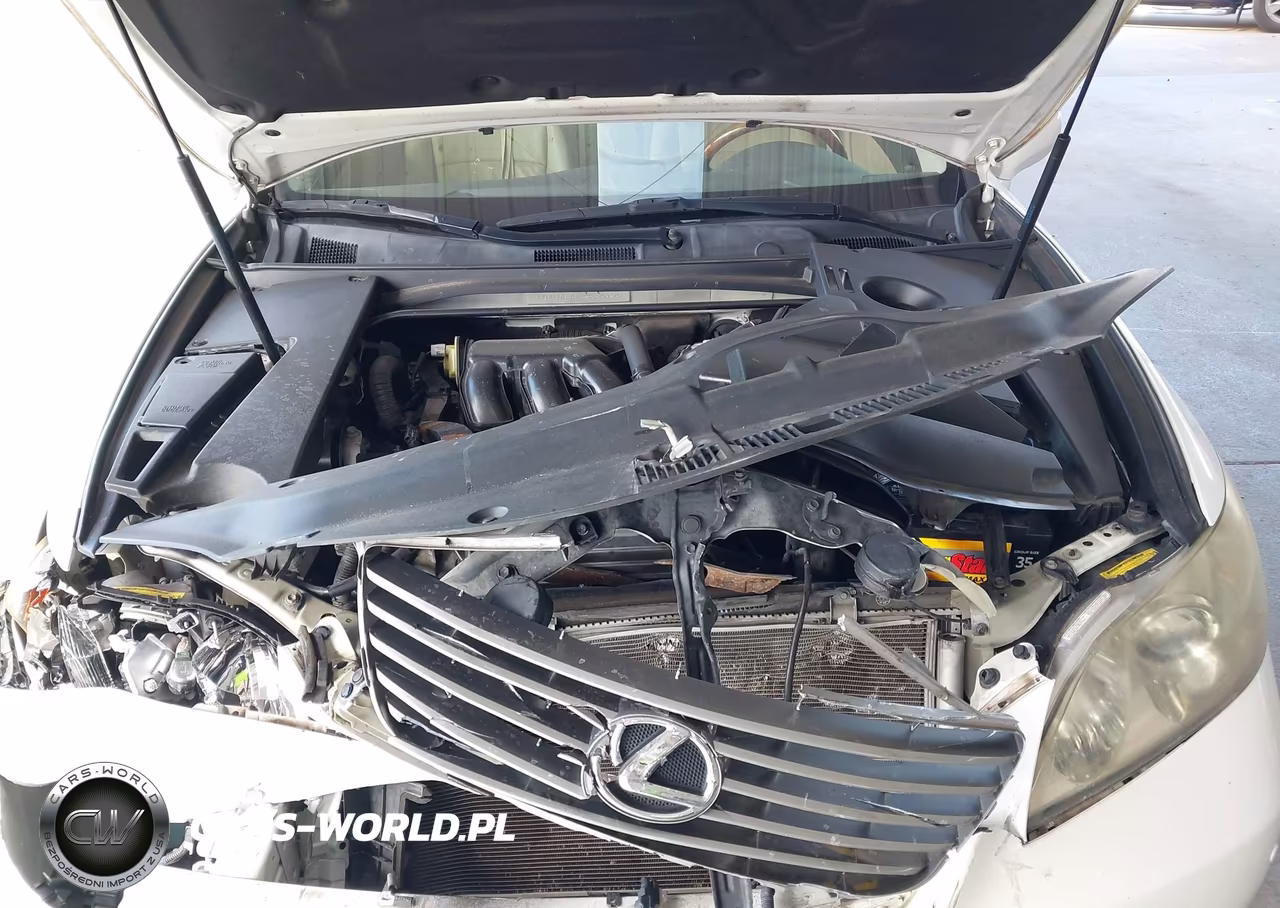 2009 Lexus Es 350 VIN:JTHBJ46G892330020 - 10