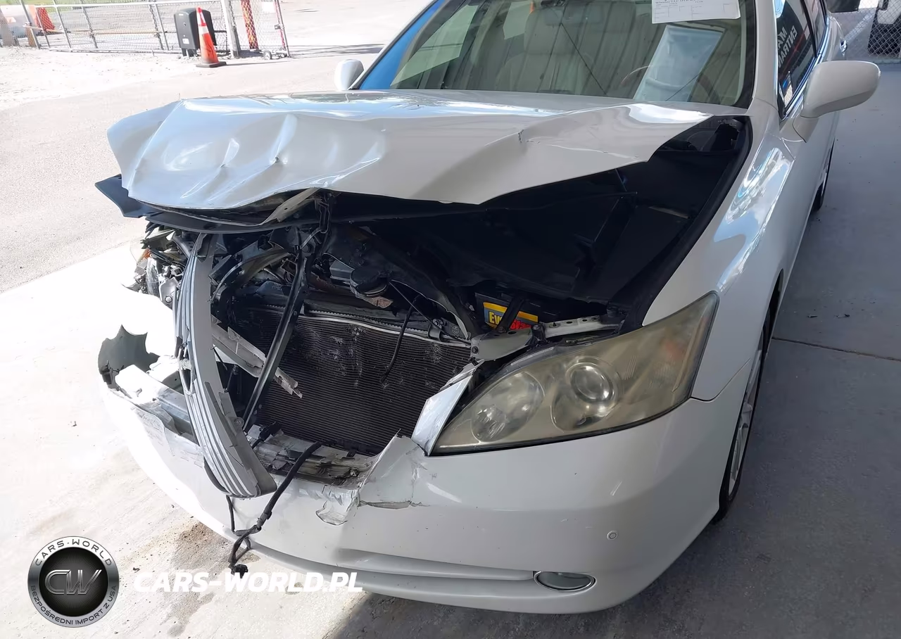 2009 Lexus Es 350 VIN:JTHBJ46G892330020 - 6