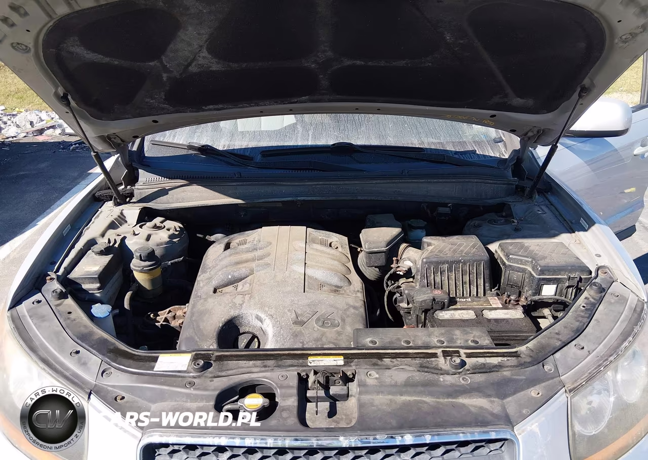 2009 Hyundai Santa Fe Se VIN:5NMSH73E39H307225 - 10