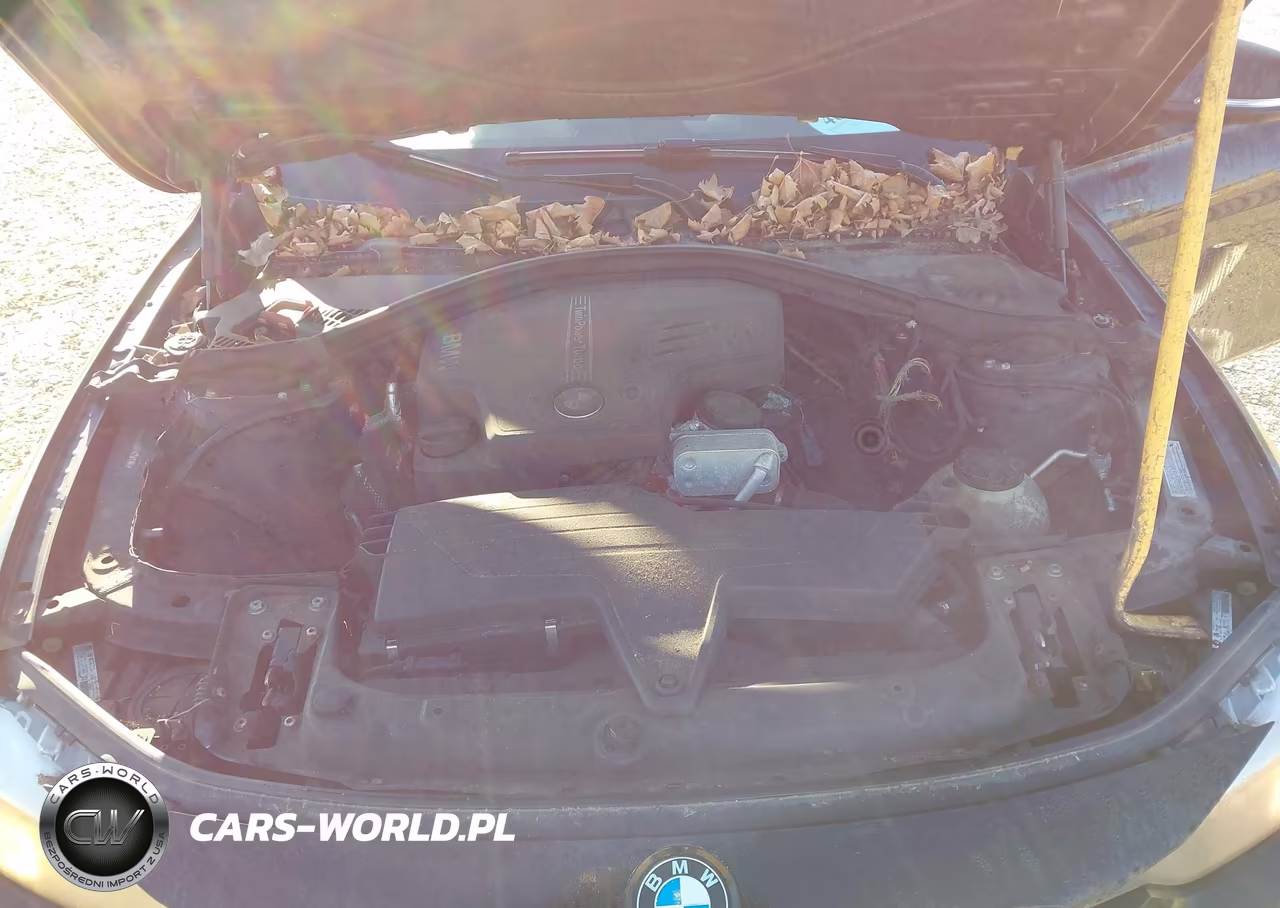 2013 BMW 328I xDrive VIN:WBA3B5C58DF596891 - 10
