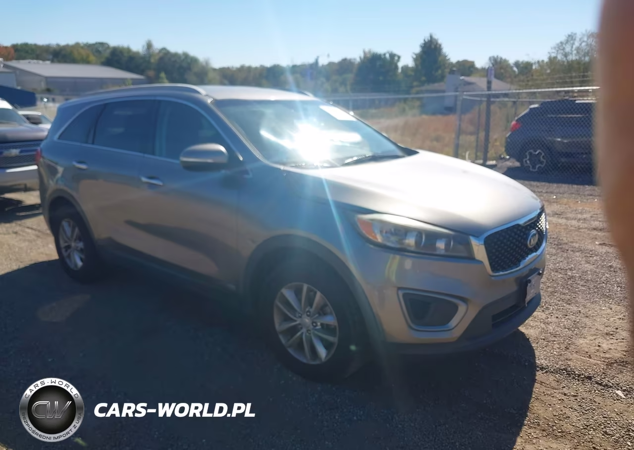 2017 Kia Sorento 3.3L Lx VIN:5XYPGDA57HG207941 - 1
