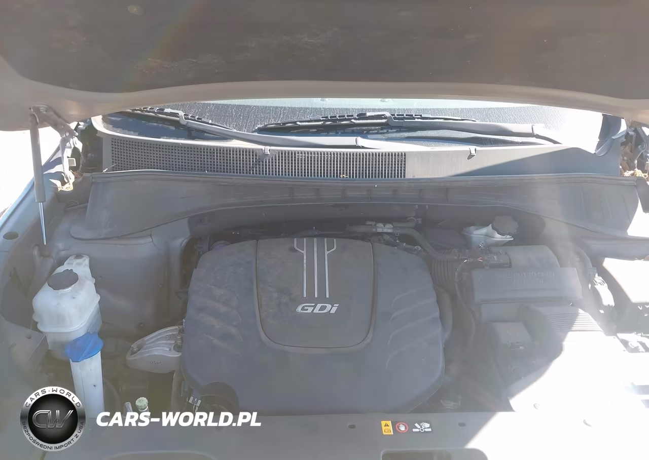 2017 Kia Sorento 3.3L Lx VIN:5XYPGDA57HG207941 - 10