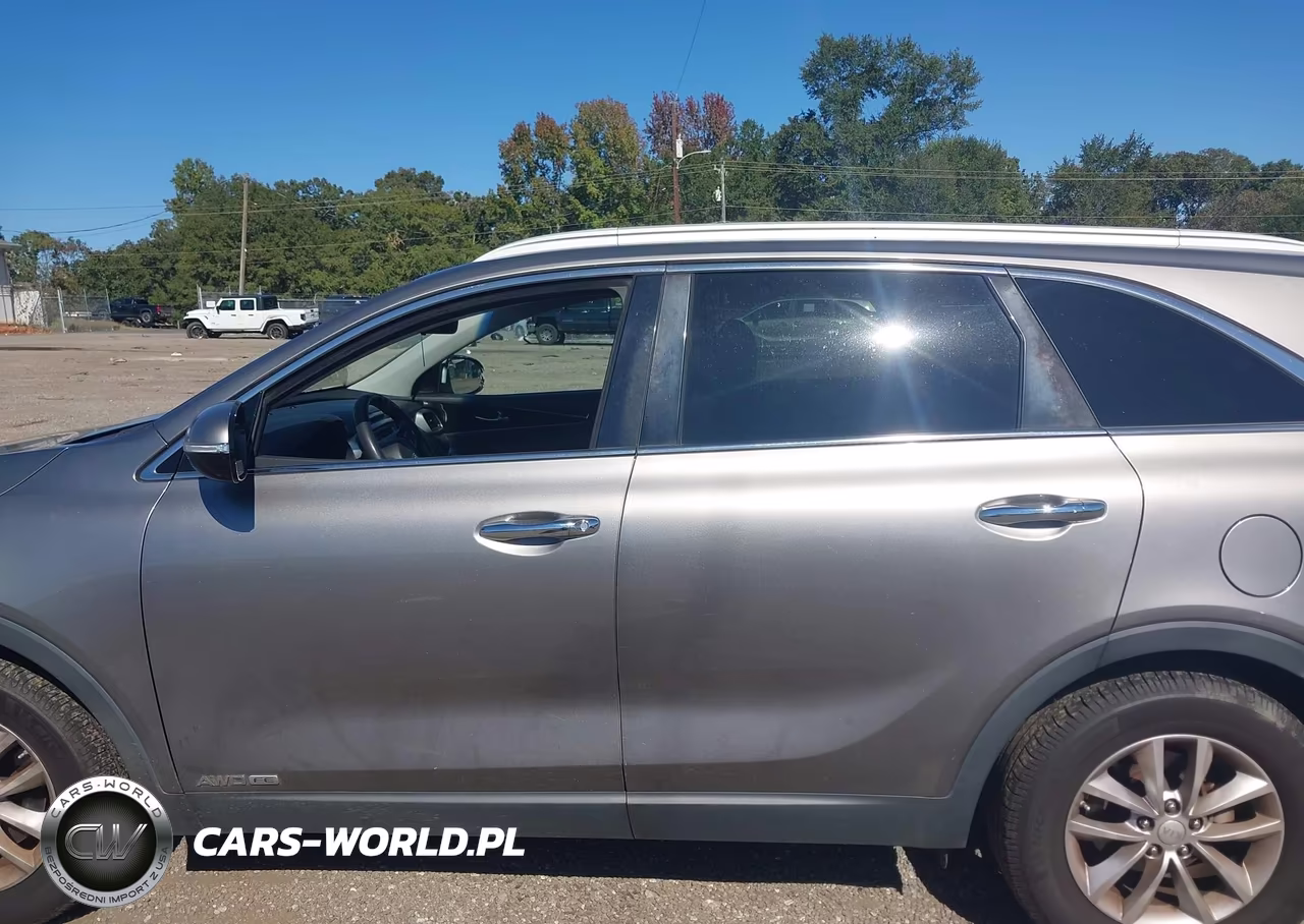 2017 Kia Sorento 3.3L Lx VIN:5XYPGDA57HG207941 - 14