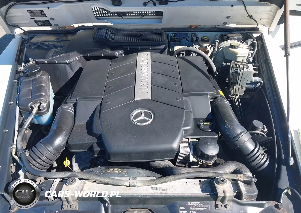 2004 Mercedes-Benz G 500 4Matic VIN:WDCYR49E04X146890 - 10