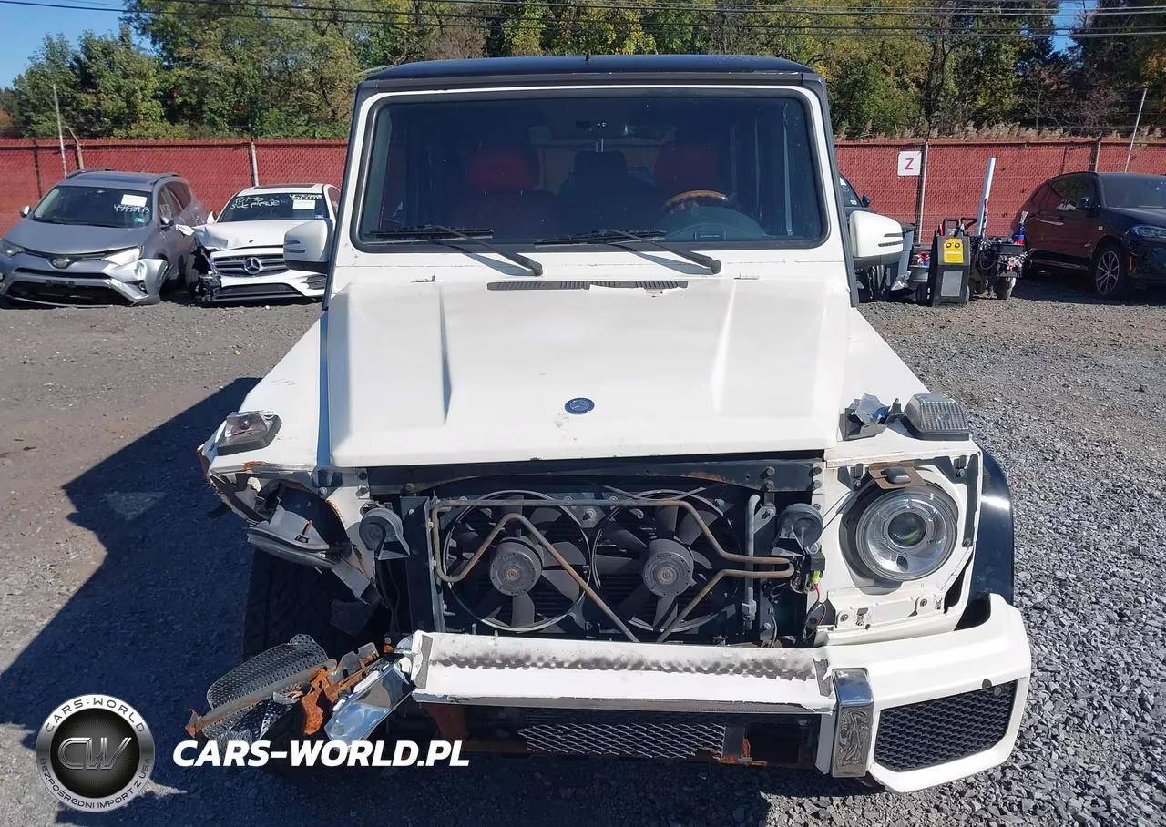 2004 Mercedes-Benz G 500 4Matic VIN:WDCYR49E04X146890 - 12