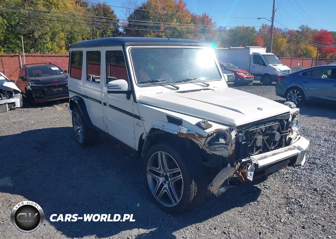 2004 Mercedes-Benz G 500 4Matic VIN:WDCYR49E04X146890 - 17