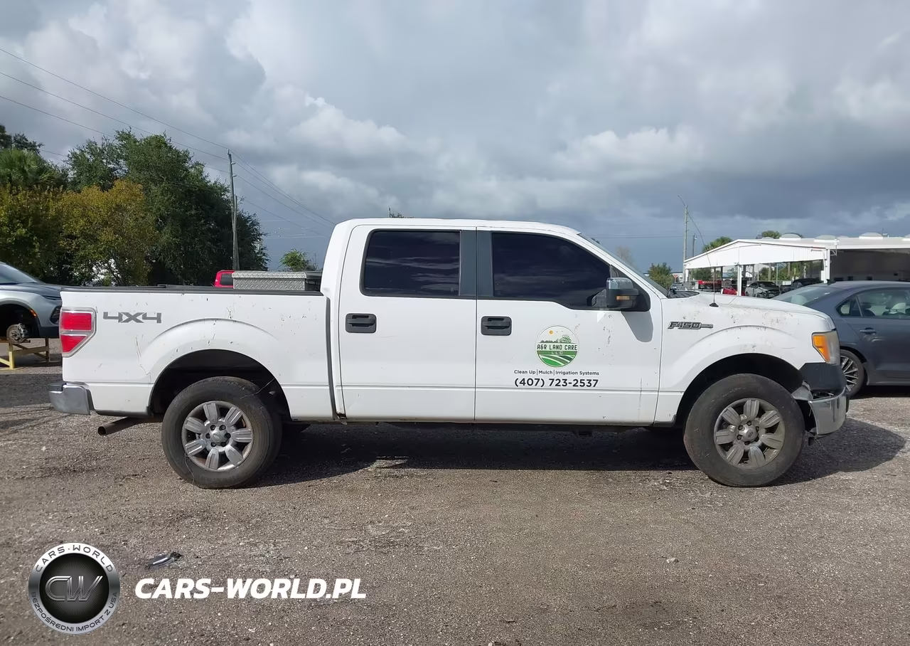 2013 Ford F-150 Xl VIN:1FTFW1EFXDKG18254 - 13