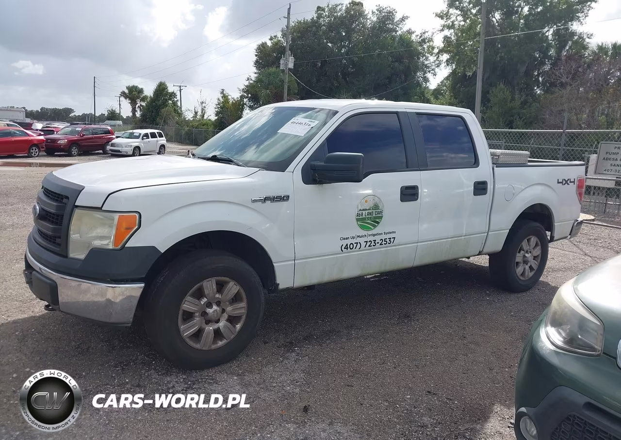 2013 Ford F-150 Xl VIN:1FTFW1EFXDKG18254 - 14