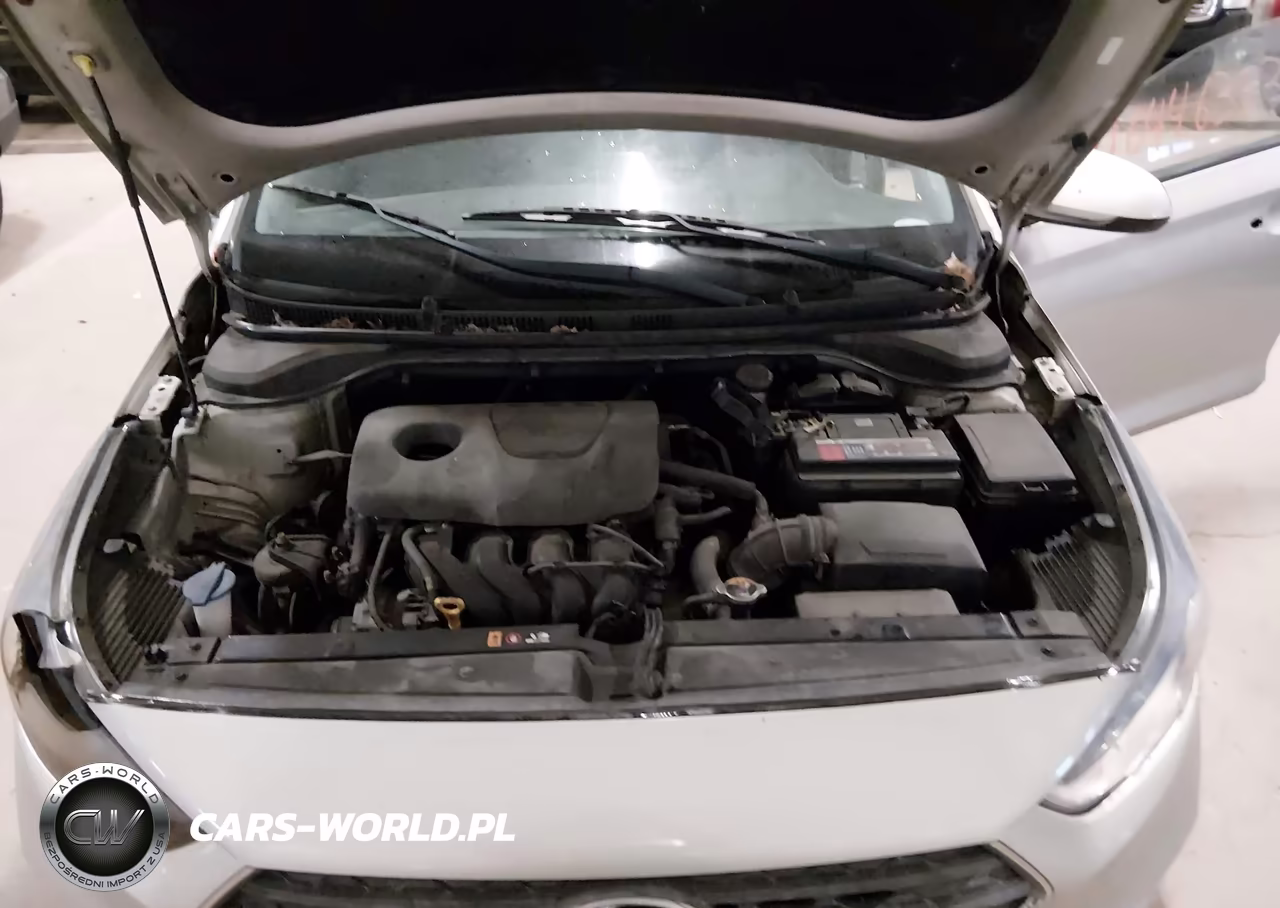 2018 Hyundai Accent Se VIN:3KPC24A30JE017431 - 10