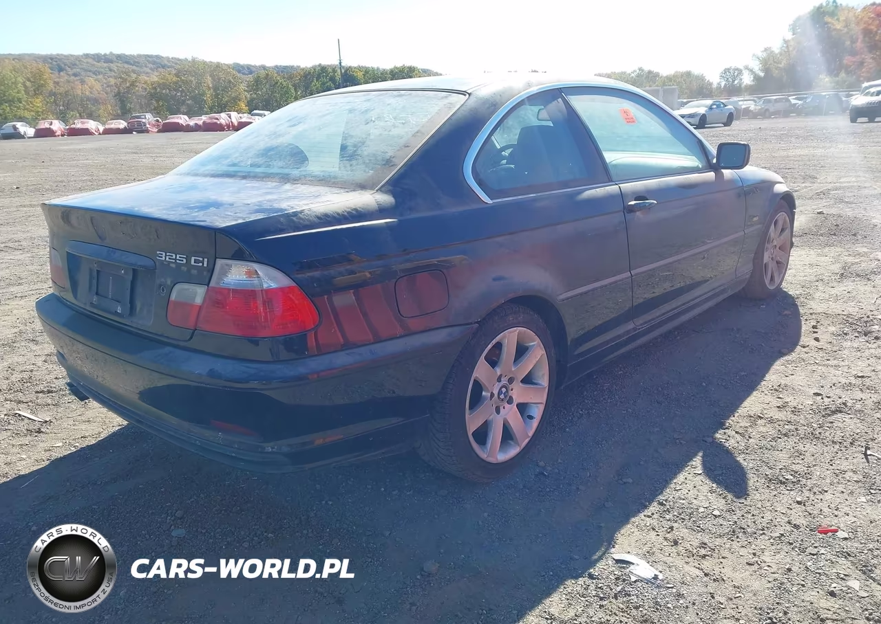 2002 BMW 325Ci VIN:WBABN33472PG54062 - 4