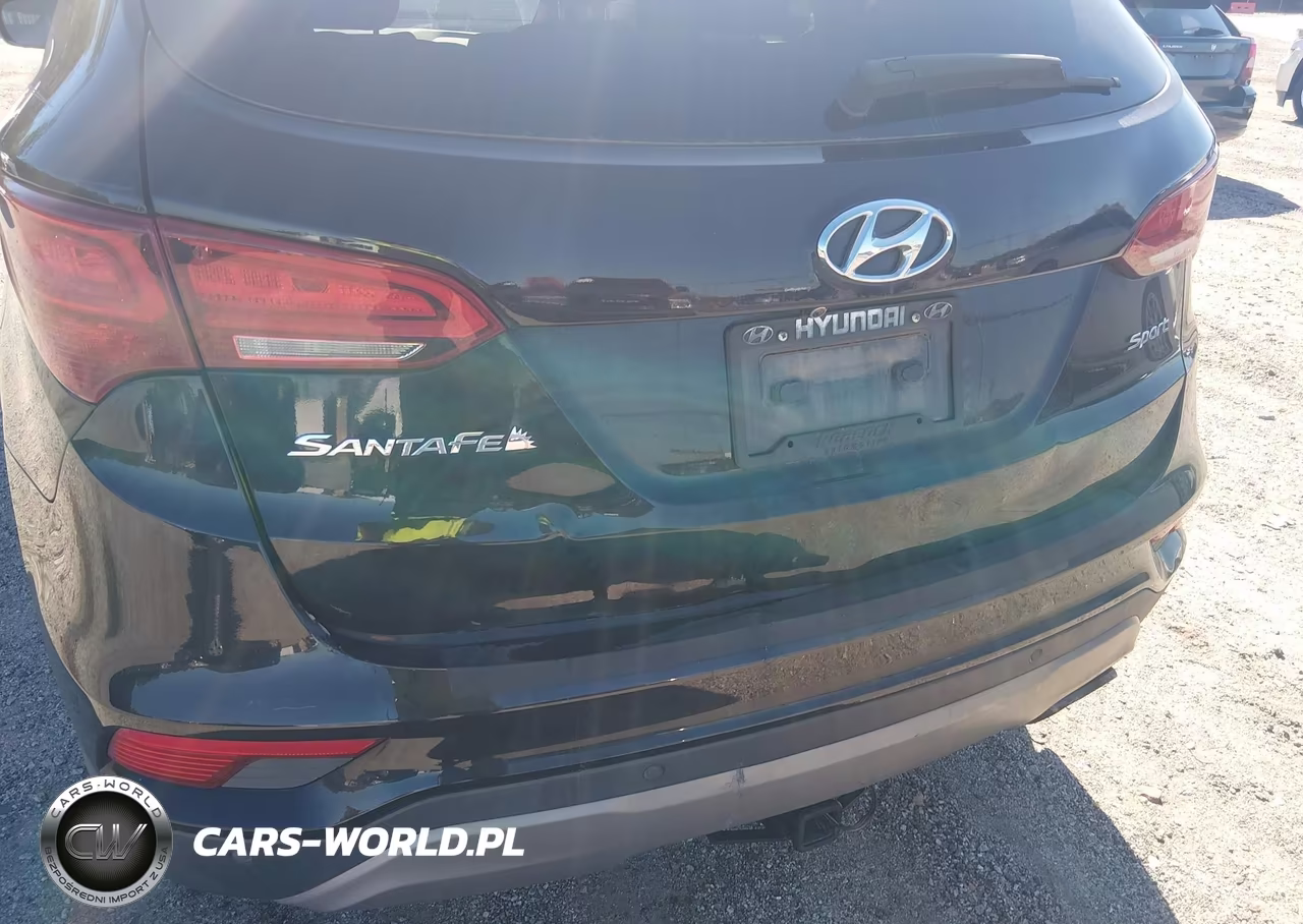 2017 Hyundai Santa Fe Sport 2.4L VIN:5NMZU3LB3HH042068 - 6