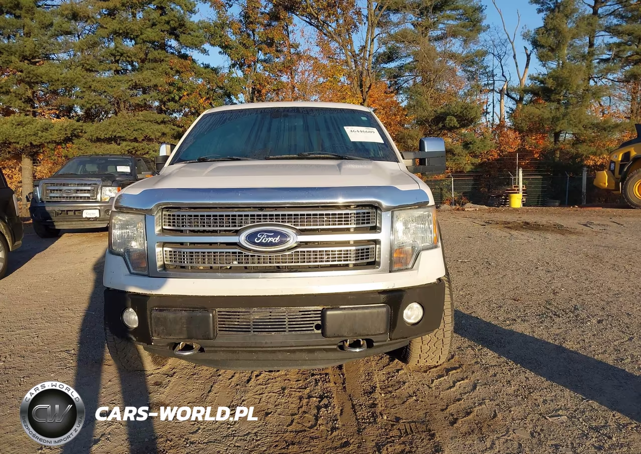 2012 Ford F-150 Platinum VIN:1FTFW1ET0CFA93931 - 13
