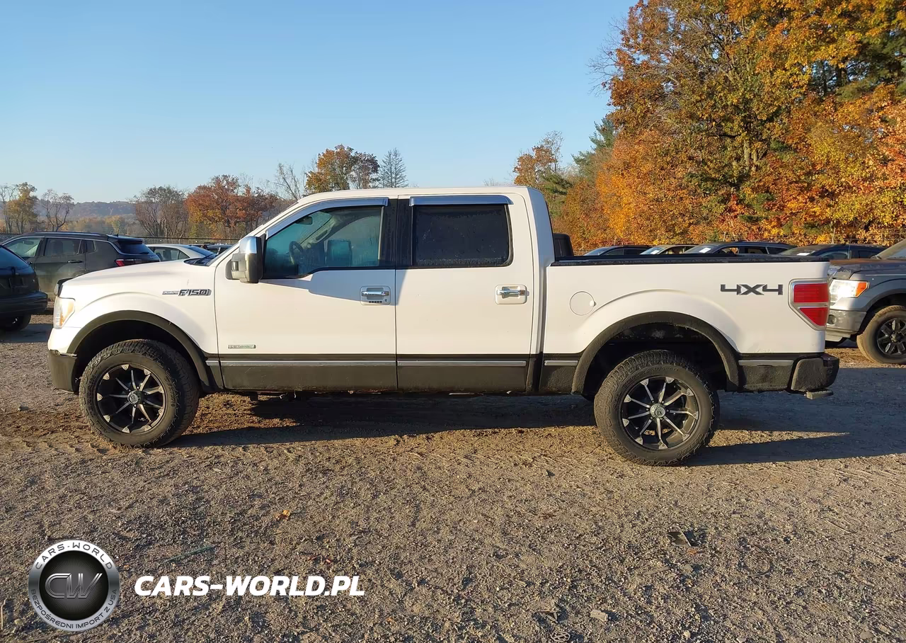 2012 Ford F-150 Platinum VIN:1FTFW1ET0CFA93931 - 15