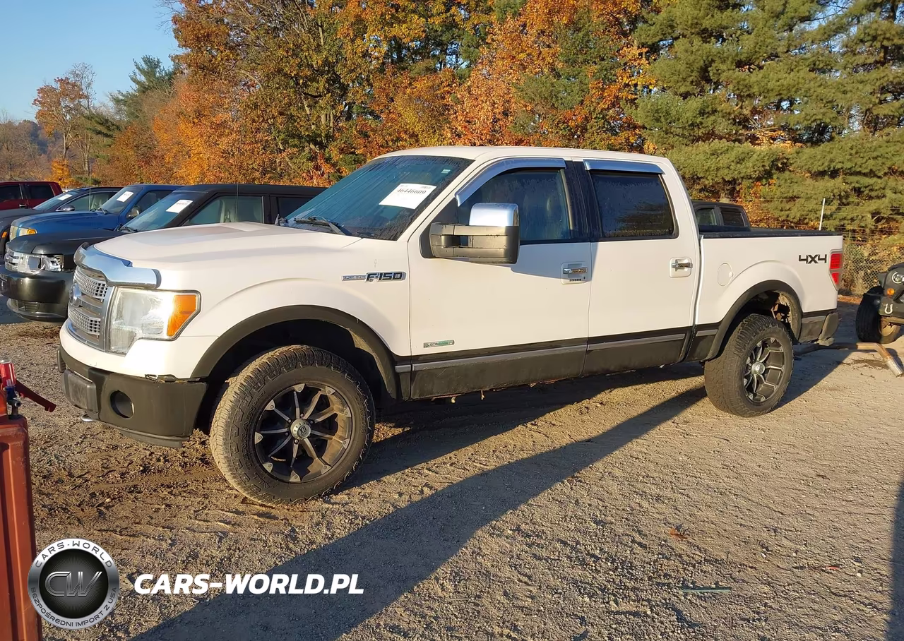 2012 Ford F-150 Platinum VIN:1FTFW1ET0CFA93931 - 2