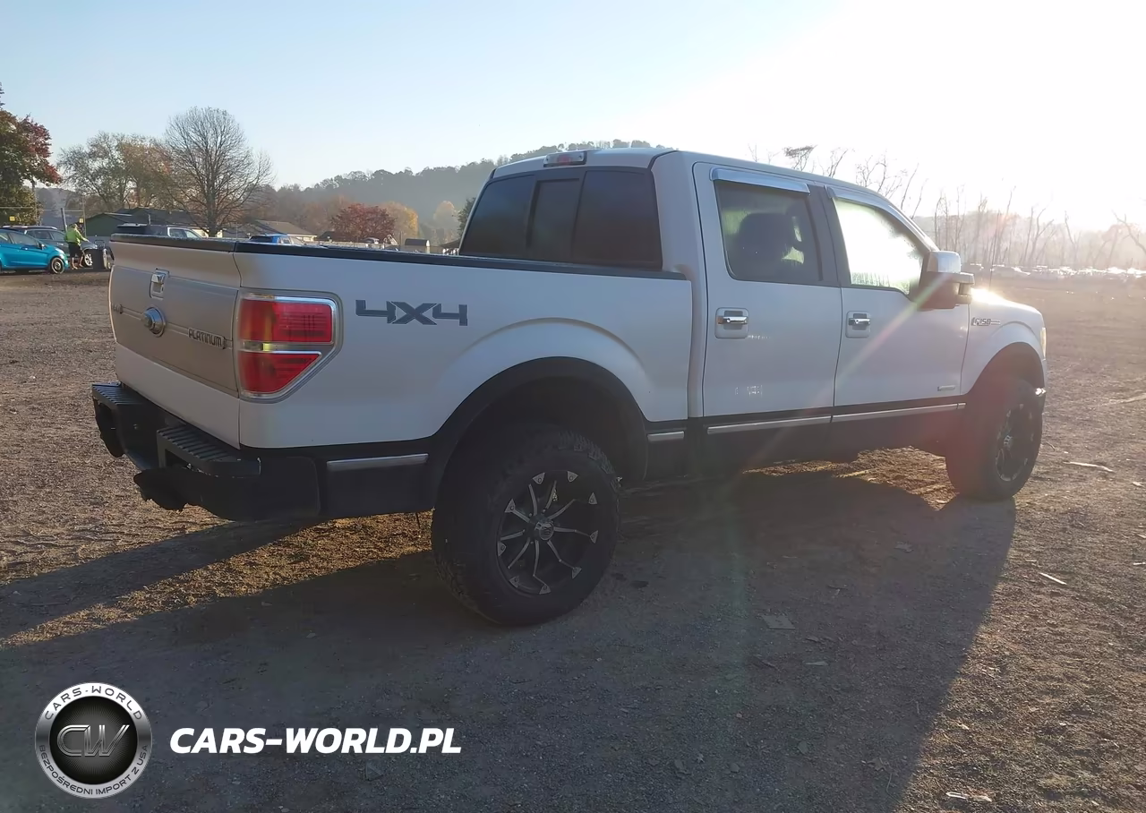 2012 Ford F-150 Platinum VIN:1FTFW1ET0CFA93931 - 4