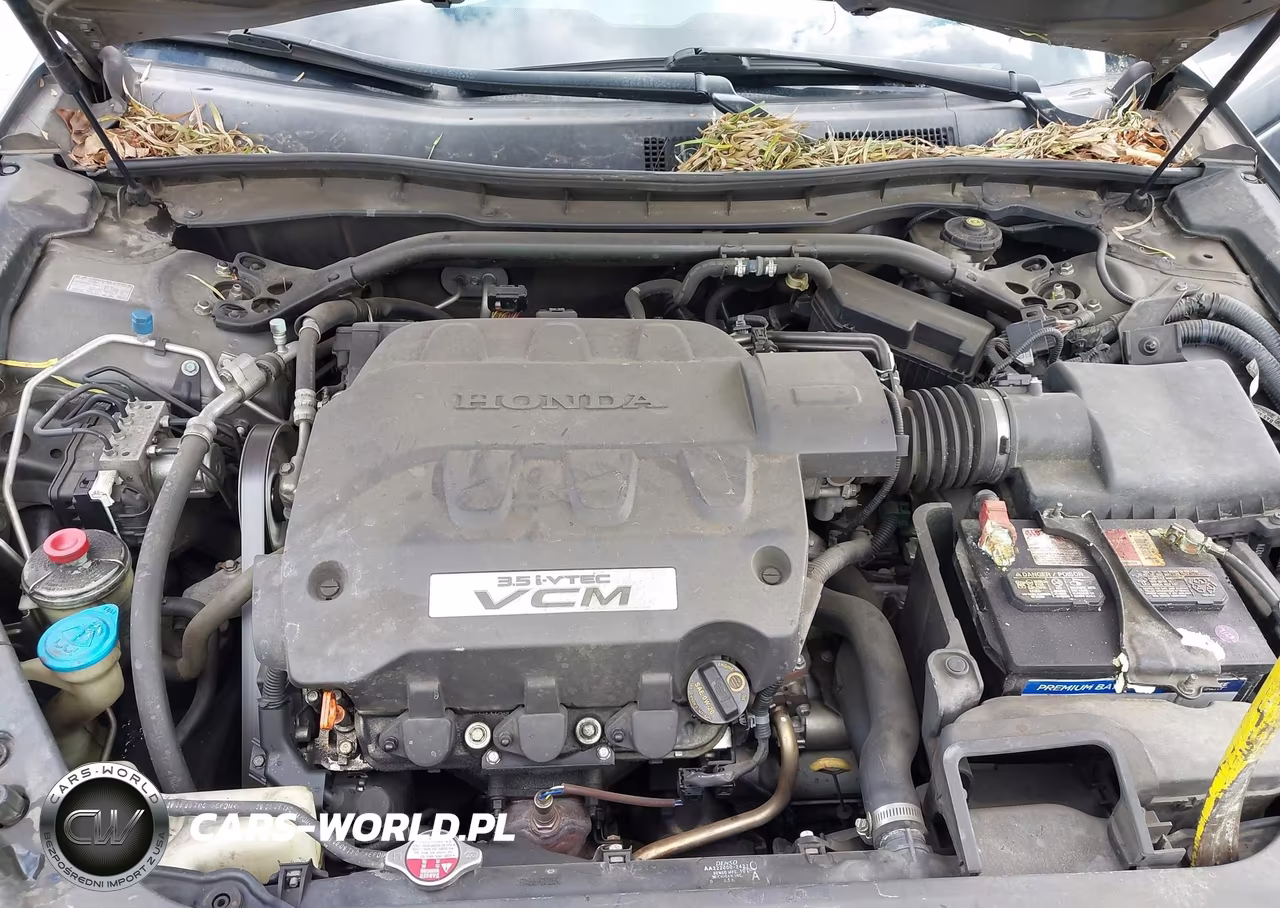 2010 Honda Accord Crosstour Ex-L VIN:5J6TF1H56AL000189 - 10