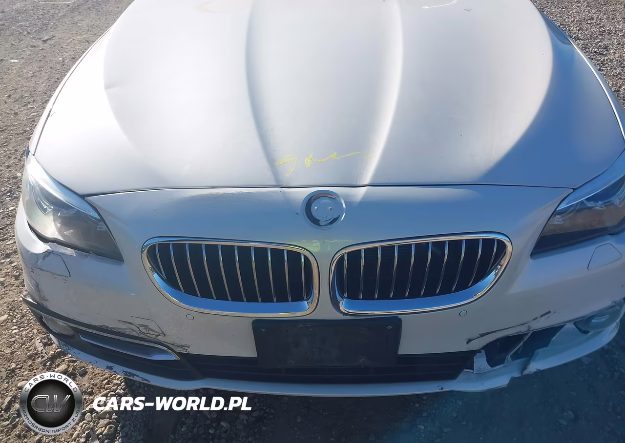2015 BMW 528I xDrive VIN:WBA5A7C52FD628451 - 10