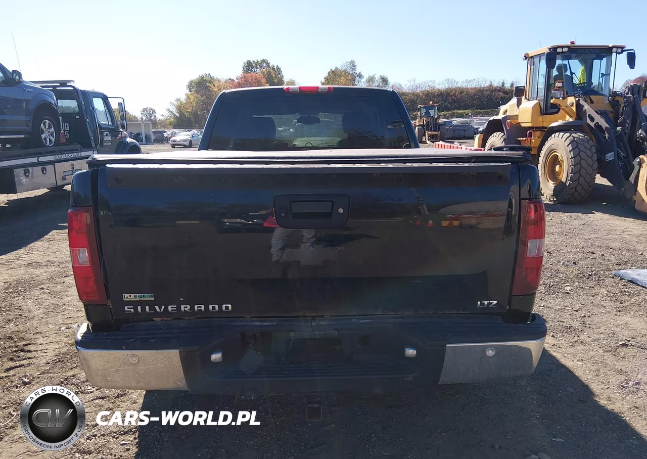 2010 Chevrolet Silverado 1500 Ltz VIN:1GCSKTE30AZ232232 - 16