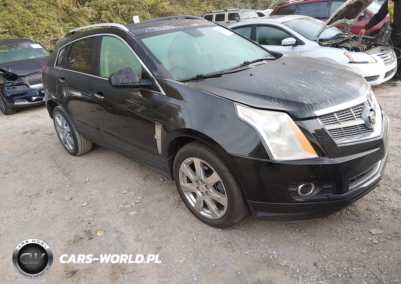 2010 Cadillac Srx Performance Collection VIN:3GYFNBEY3AS644232 - 1