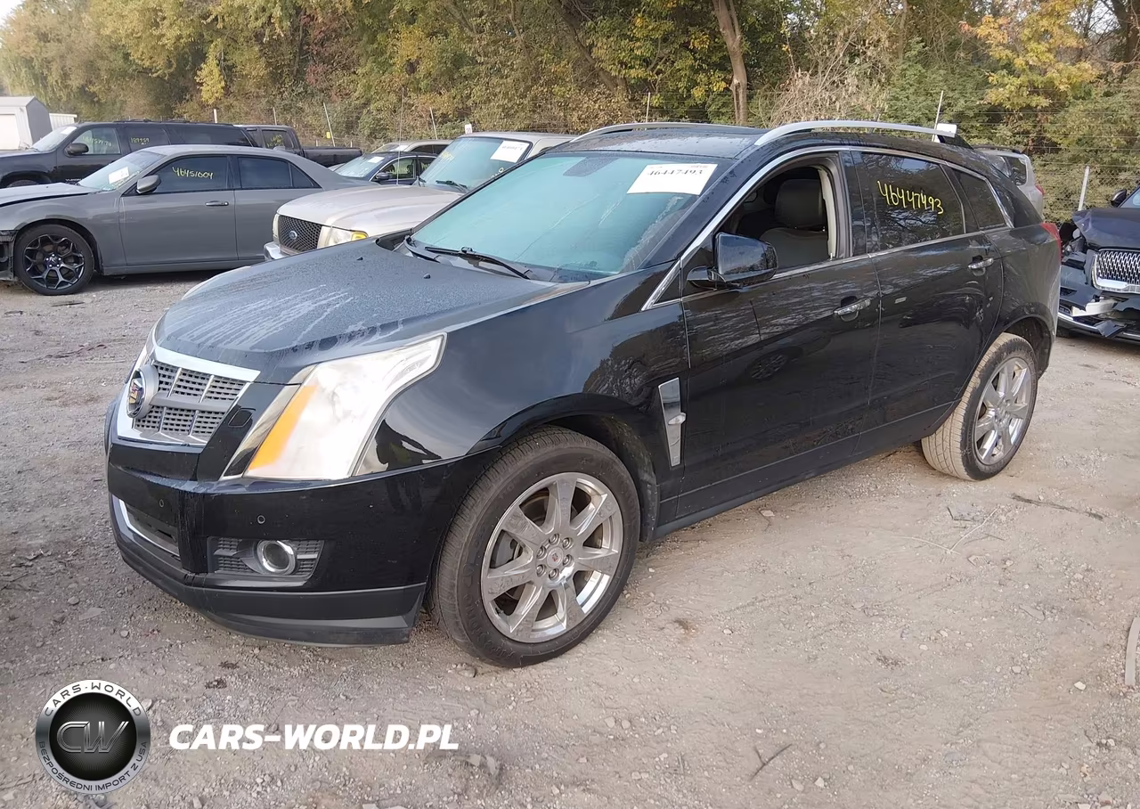 2010 Cadillac Srx Performance Collection VIN:3GYFNBEY3AS644232 - 2