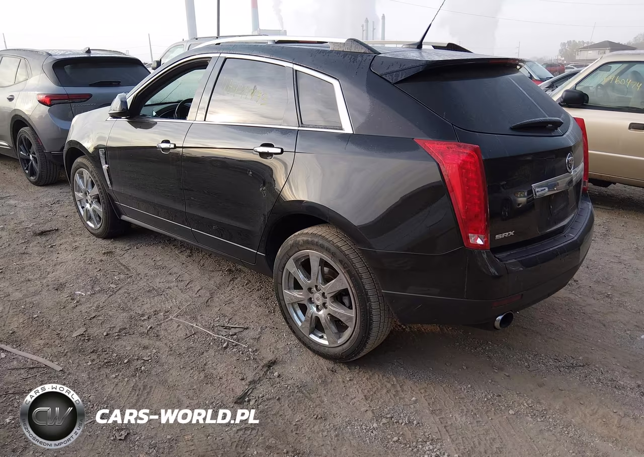 2010 Cadillac Srx Performance Collection VIN:3GYFNBEY3AS644232 - 3