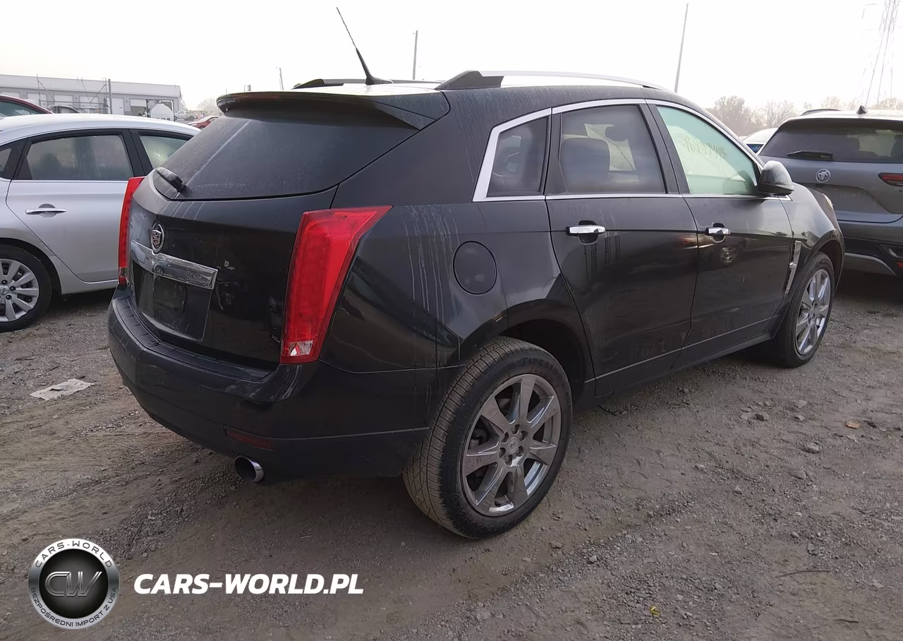 2010 Cadillac Srx Performance Collection VIN:3GYFNBEY3AS644232 - 4