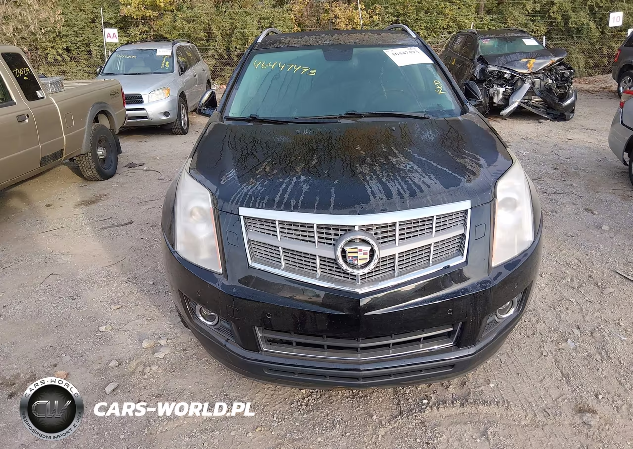 2010 Cadillac Srx Performance Collection VIN:3GYFNBEY3AS644232 - 6