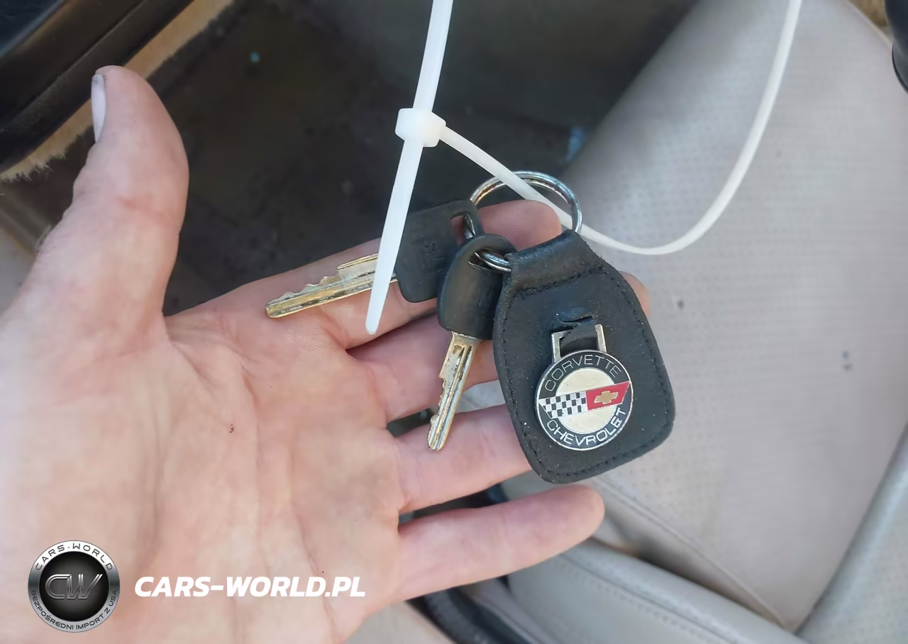 1984 Chevrolet Corvette VIN:1G1AY0783E5138160 - 11