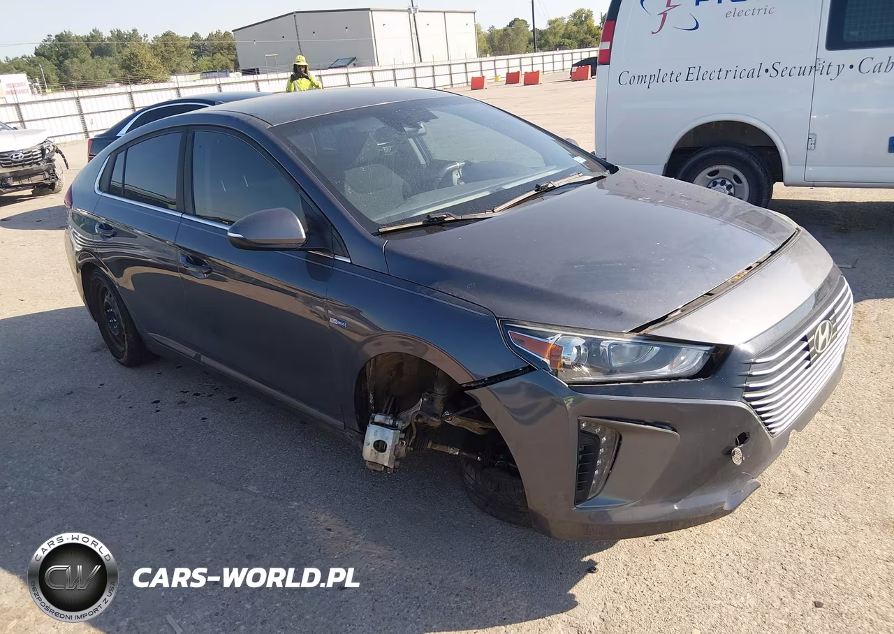 2019 Hyundai Ioniq Hybrid Sel VIN:KMHC75LC8KU131454 - 1