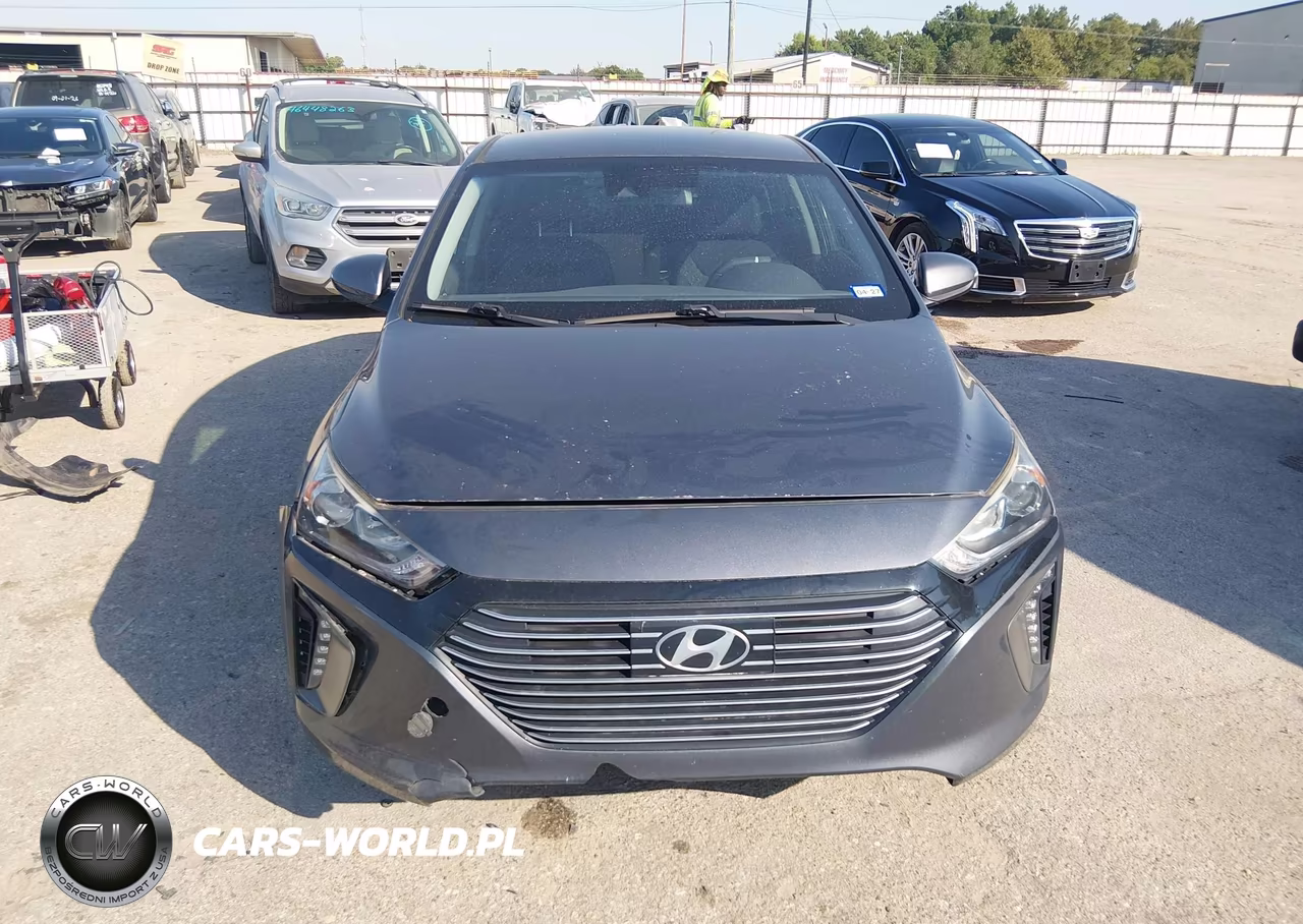2019 Hyundai Ioniq Hybrid Sel VIN:KMHC75LC8KU131454 - 12