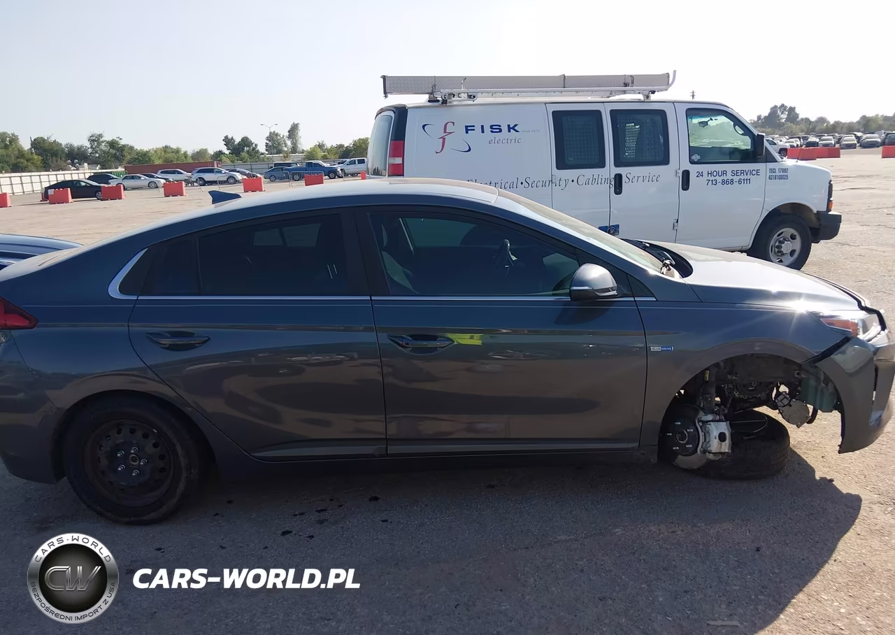 2019 Hyundai Ioniq Hybrid Sel VIN:KMHC75LC8KU131454 - 13