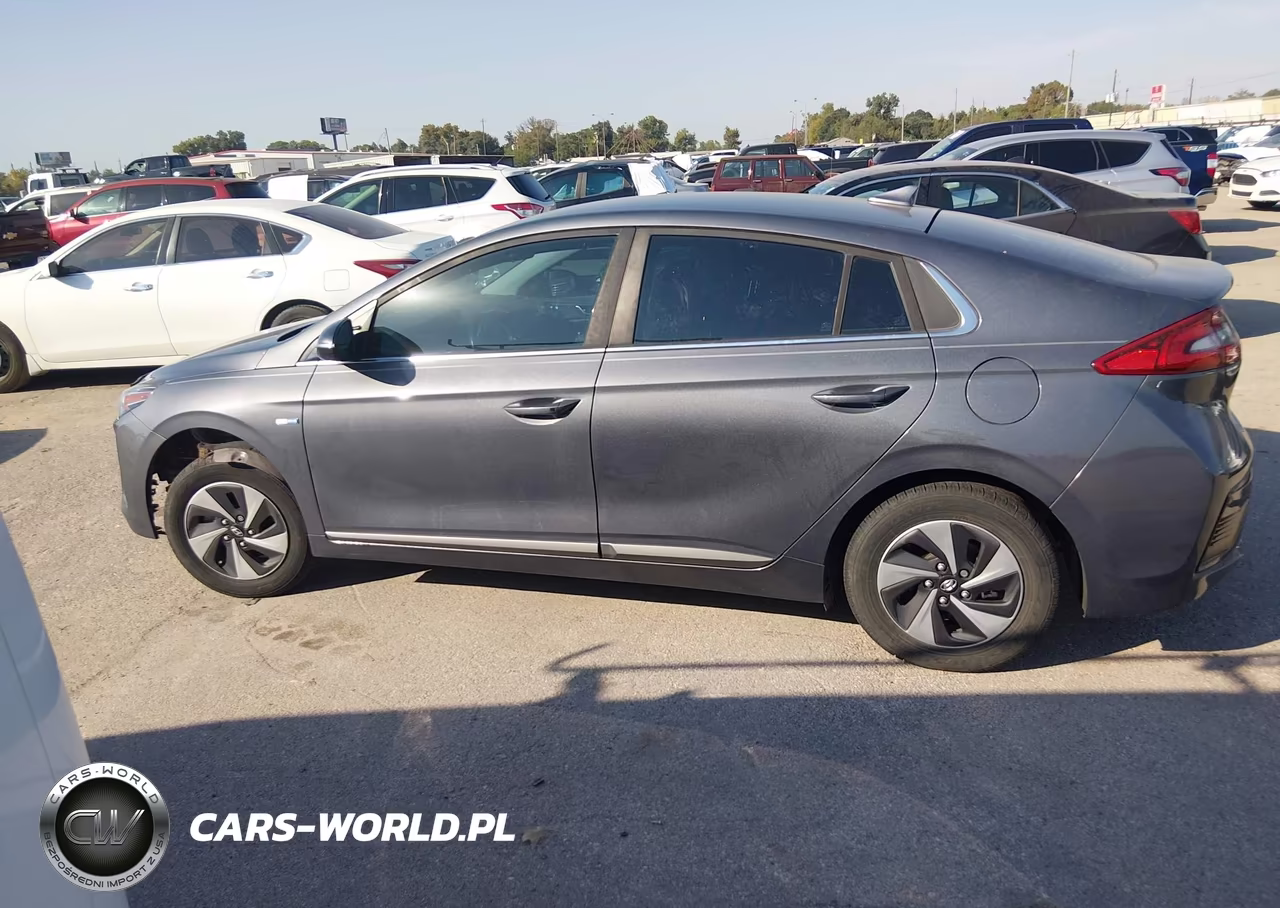 2019 Hyundai Ioniq Hybrid Sel VIN:KMHC75LC8KU131454 - 14