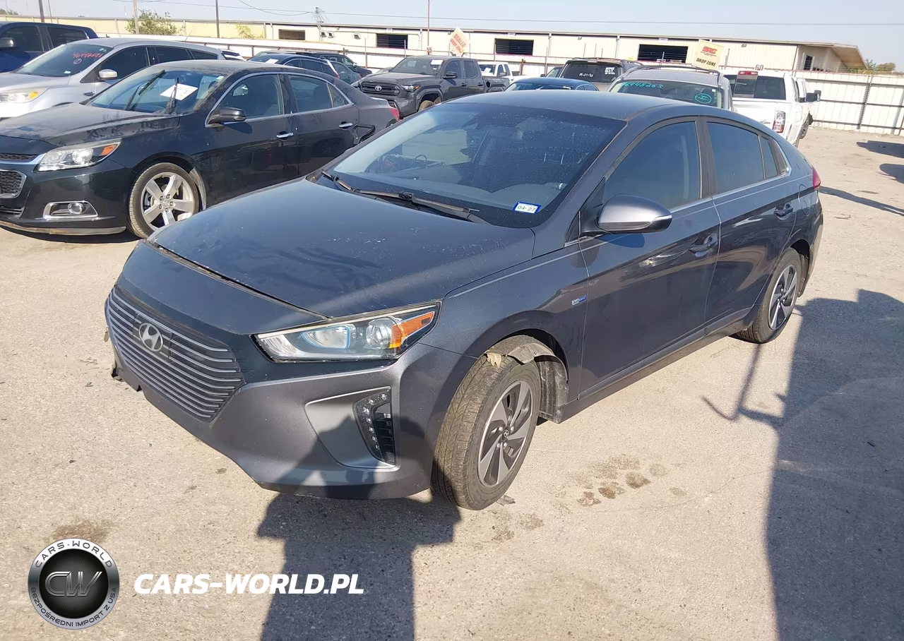 2019 Hyundai Ioniq Hybrid Sel VIN:KMHC75LC8KU131454 - 2
