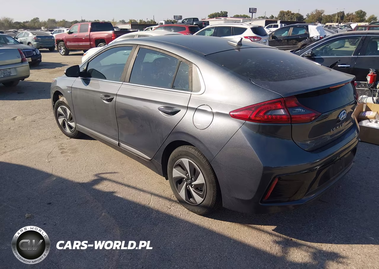 2019 Hyundai Ioniq Hybrid Sel VIN:KMHC75LC8KU131454 - 3