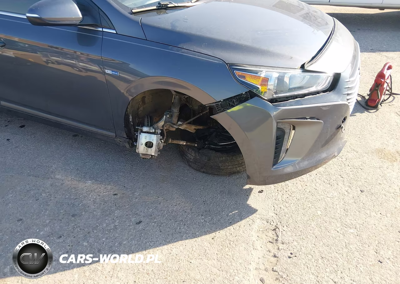 2019 Hyundai Ioniq Hybrid Sel VIN:KMHC75LC8KU131454 - 6