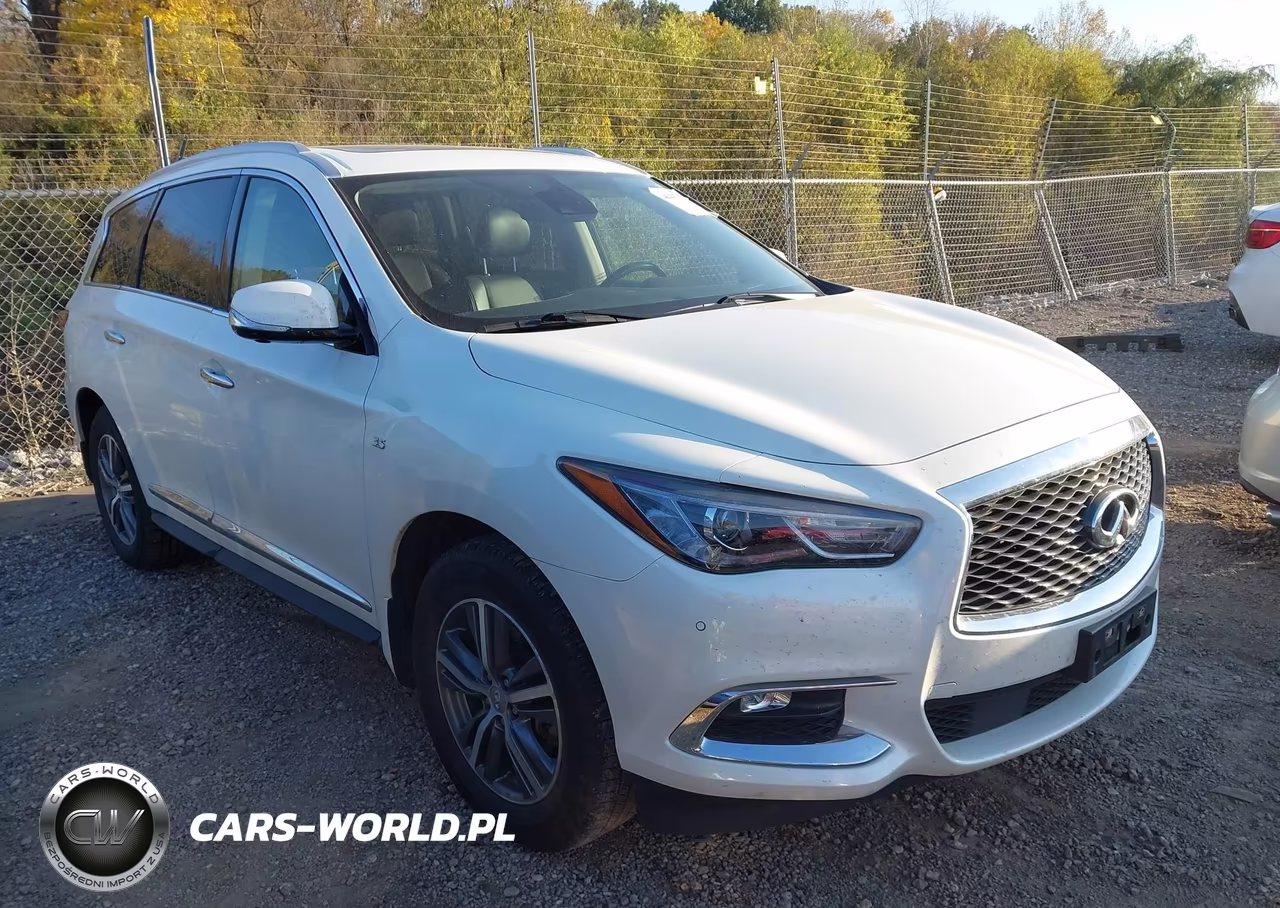 2020 Infiniti Qx60 Luxe Awd VIN:5N1DL0MM3LC508211 - 1