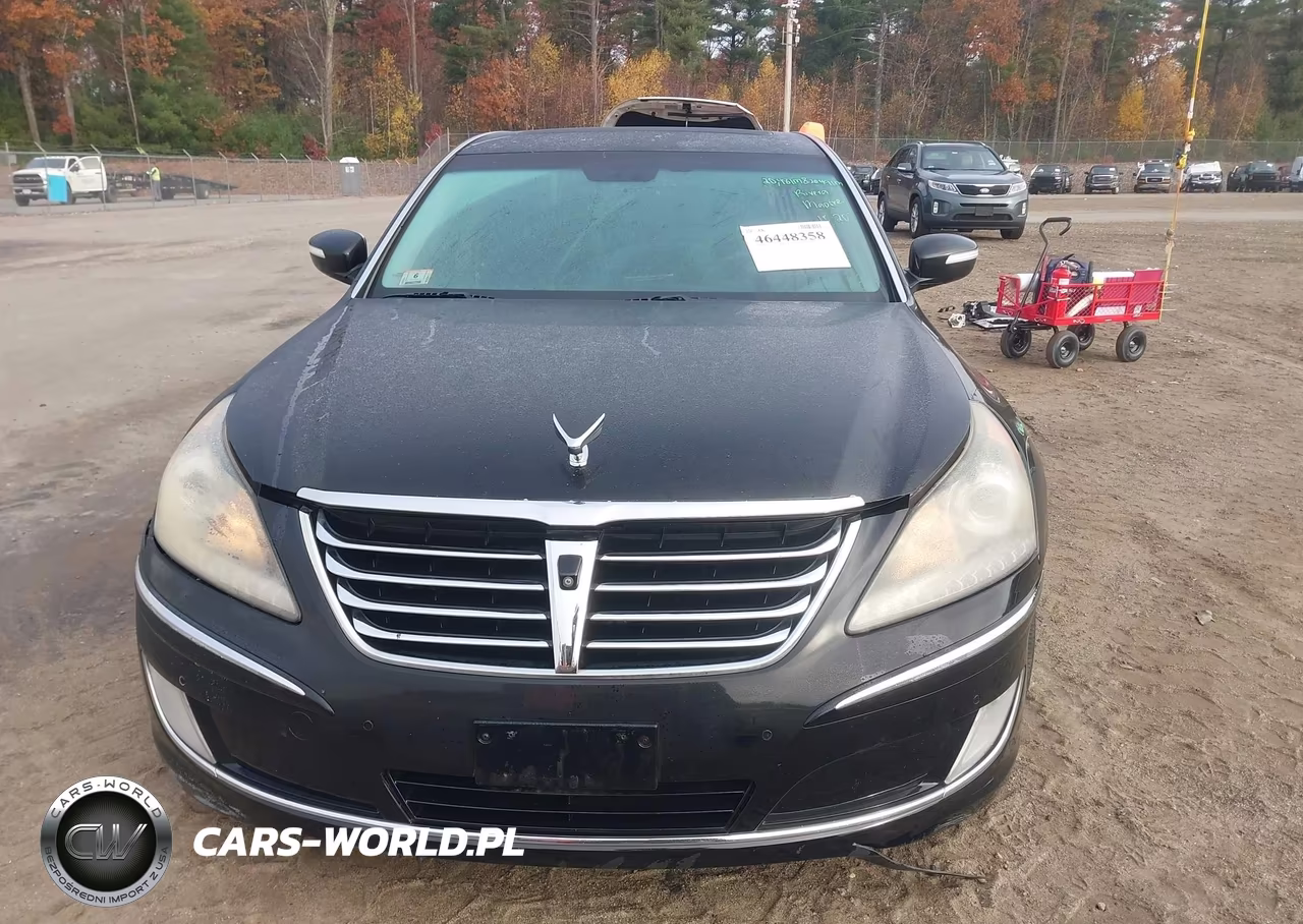 2011 Hyundai Equus Ultimate VIN:KMHGH4JF6BU036140 - 12