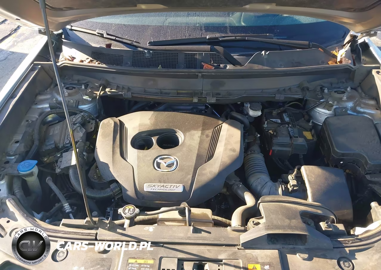 2016 Mazda Cx-9 Grand Touring VIN:JM3TCBDY1G0115644 - 10