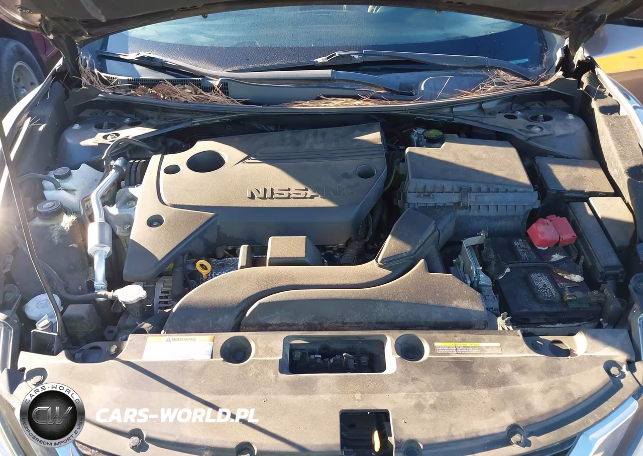 2016 Nissan Altima 2.5 Sl VIN:1N4AL3APXGC230085 - 10