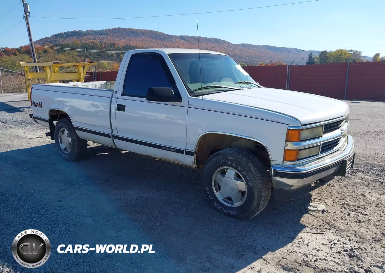 1998 Chevrolet K1500 Fleetside VIN:1GCEK14M9WE108230 - 1