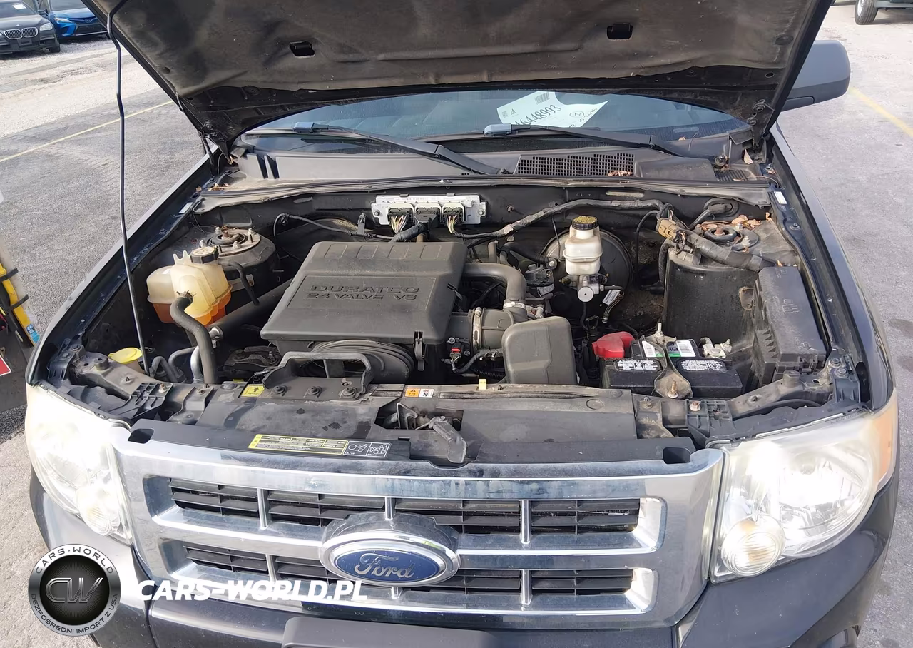 2009 Ford Escape Xlt VIN:1FMCU93G29KC31252 - 10