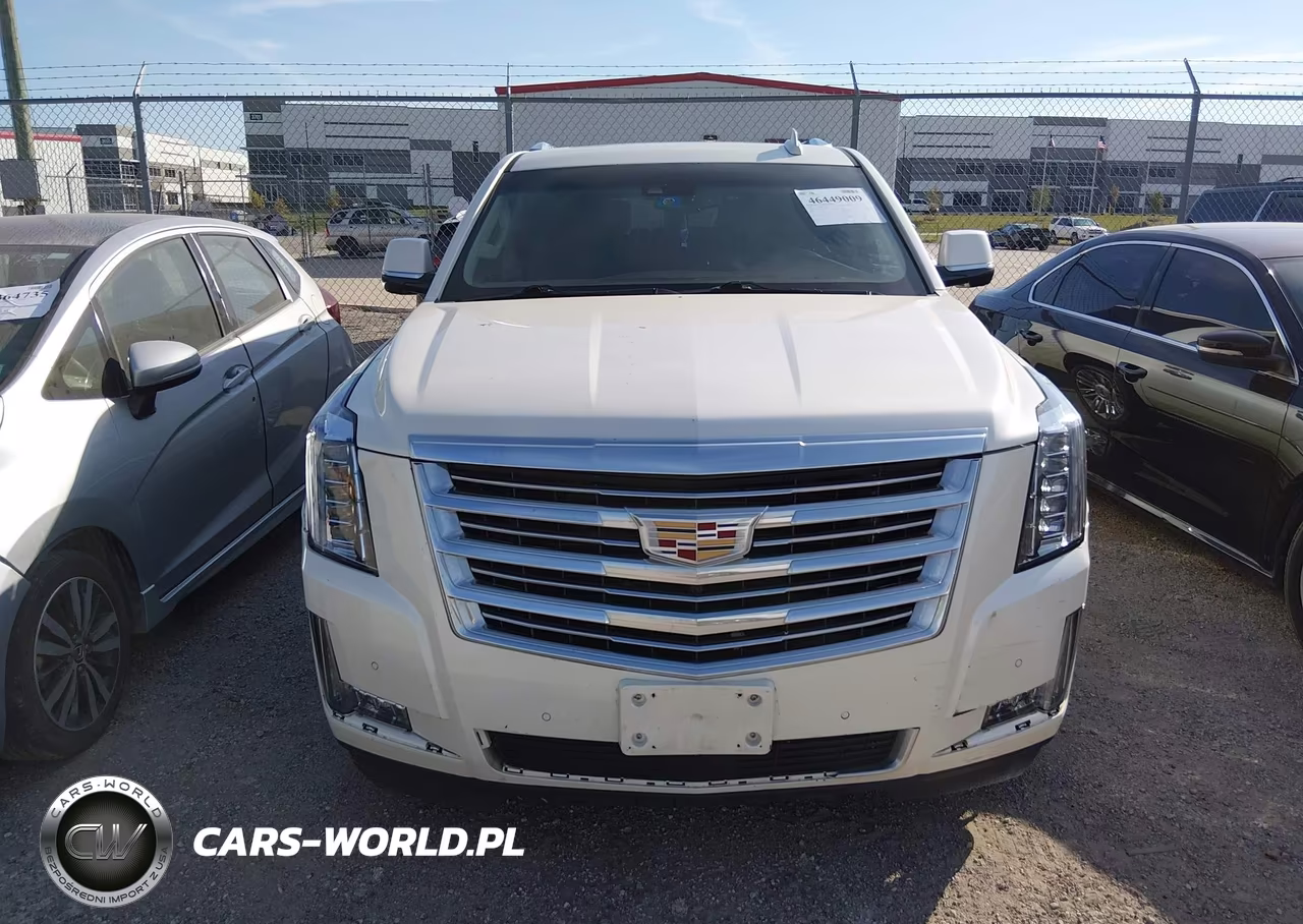 2015 Cadillac Escalade Esv Platinum VIN:1GYS4UKJ2FR580005 - 12