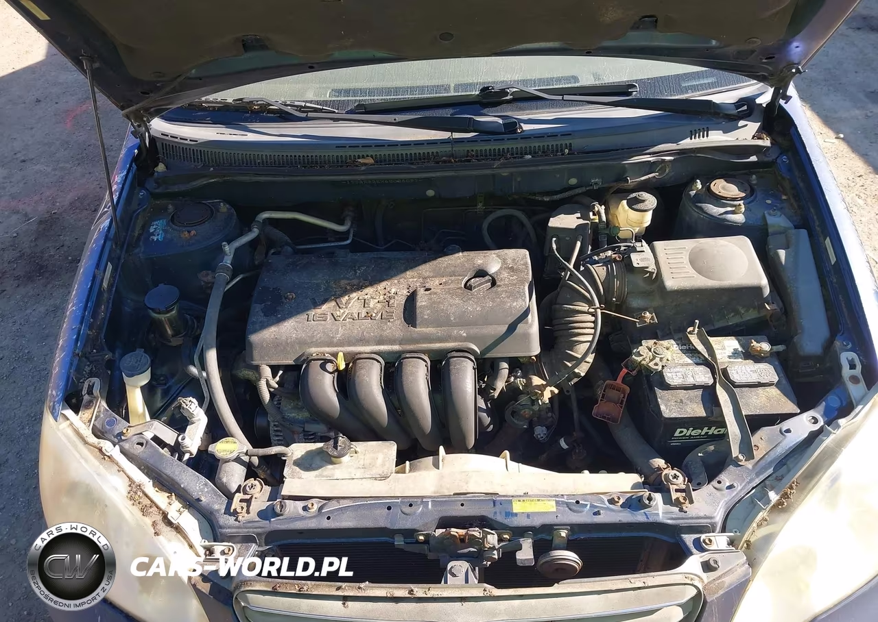 2004 Toyota Corolla Ce VIN:JTDBR32EX42028097 - 10