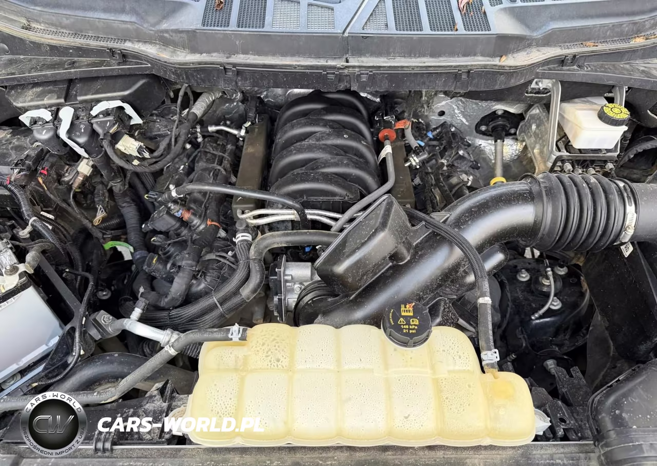 2023 Ford F-150 Xlt VIN:1FTFW1E51PFA33647 - 10
