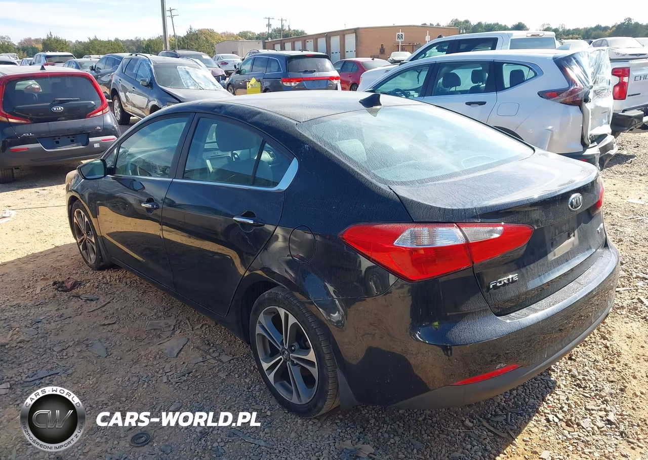 2016 Kia Forte Ex VIN:KNAFZ4A87G5547417 - 3