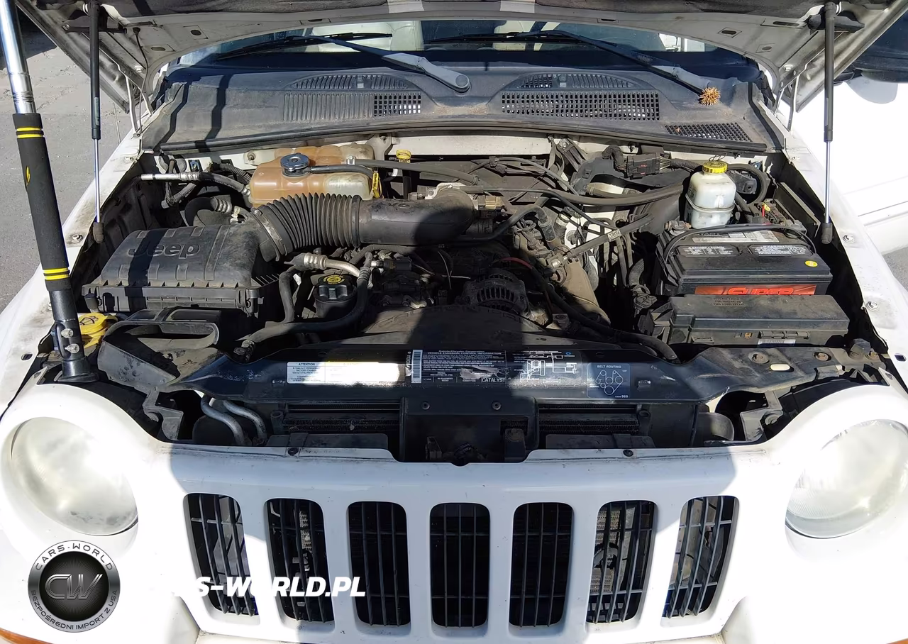 2004 Jeep Liberty Limited Edition VIN:1J4GK58K94W128486 - 10