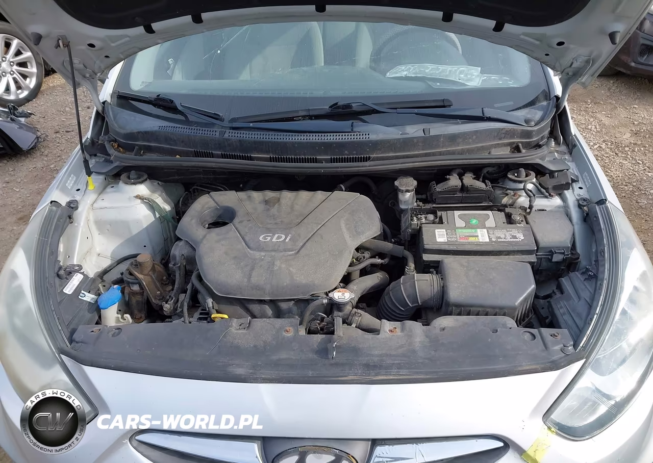 2014 Hyundai Accent Gls VIN:KMHCT4AEXEU665666 - 10