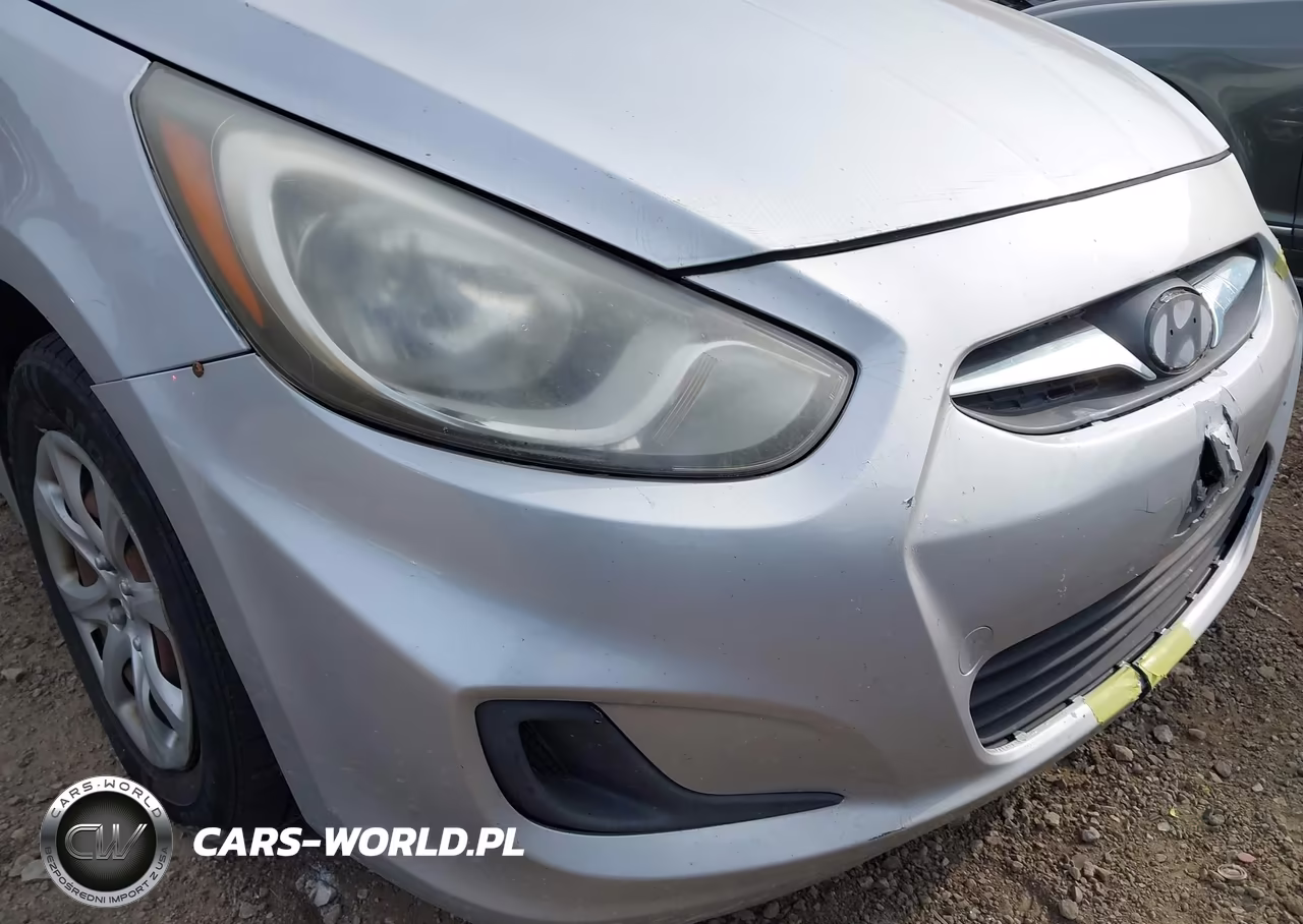 2014 Hyundai Accent Gls VIN:KMHCT4AEXEU665666 - 12